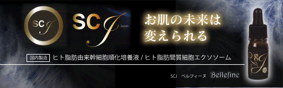 SCJベルフィーヌ