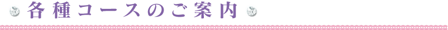 各種コースのご案内