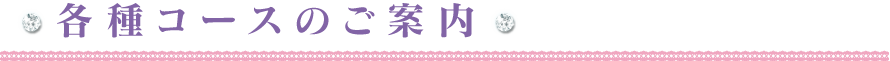 各種コースのご案内